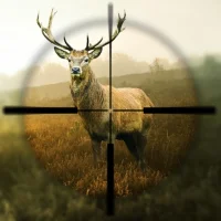 Hunting Simulator